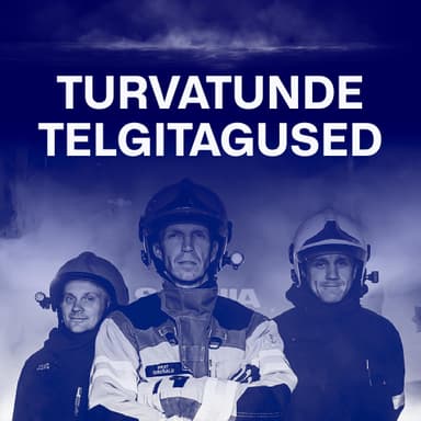Turvatunde telgitagused
