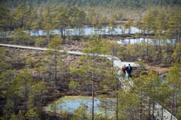 Ekspert annab nõu: viis meelespead algajale matkahuvilisele
