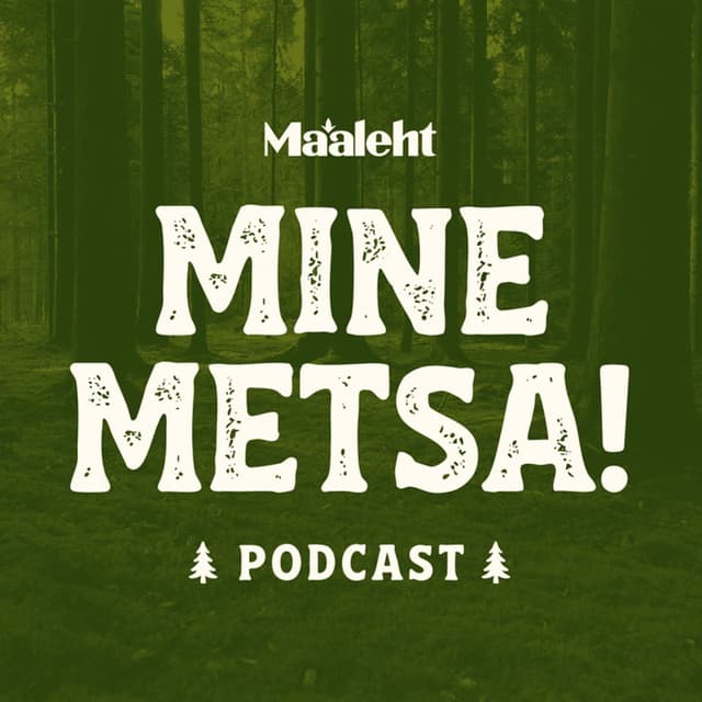 Erametsaomanik vajab pikka plaani 