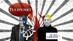 TULIPUNKT | Karoliina Vasli: tervisekassa juht koperdas omaenda ego otsa. Lehtme aga toimetab kui kuninga kass